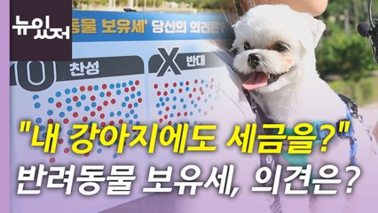 [뉴있저] "내 강아지에 세금을 물린다고요?"...반려동물 보유세, 시민들 생각은? / YTN