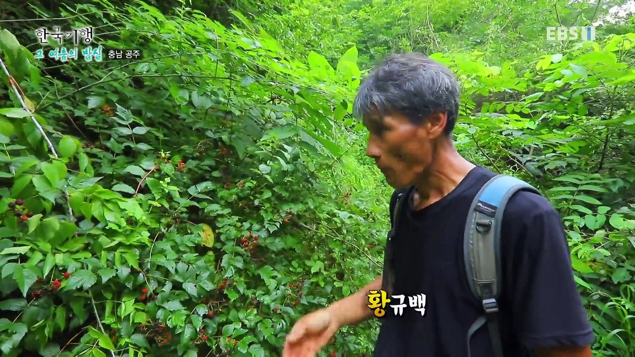 한국기행 - Korea travel_그 여름의 밥심 4부- 산중 자연의 맛_#002
