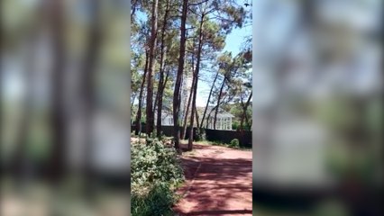 Ümraniye'de ormanda bina inşaatları başladı, halk tepki gösterdi