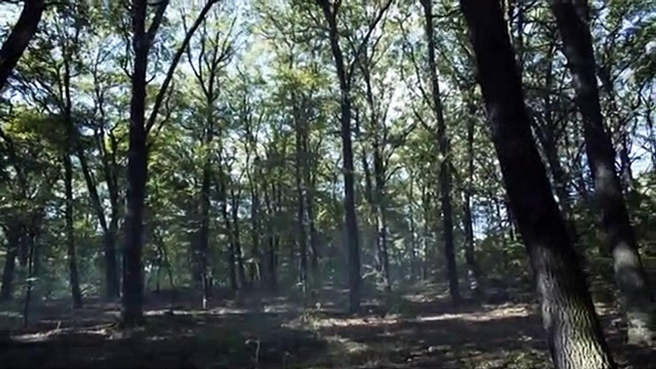 Allein gegen die Zeit Staffel 2 Folge 5