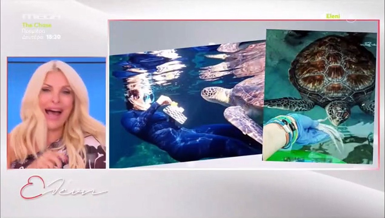 Μενεγάκη: Κατσάδιασε on air συνεργάτη της - «Πρ...