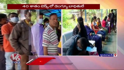 Dengue Cases Increasing Day By Day In State  | V6 News (2)