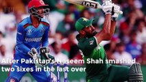 Clashes Erupt Between Fans Of Afghanistan, Pakistan Cricket Team After Asia Cup 2022 Match