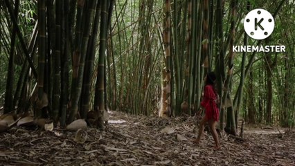 #रहस्यों भरा संसार #अजब ग़ज़ब संसार #आश्चर्यजनक संसार #wonder words #amazing fact #short