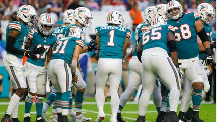 Can The Miami Dolphins (+142) Make The 2022 NFL Playoffs?