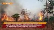 Alerta Una veintena de incendios amenazan las reservas naturales del Amazonas