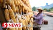 Farmers in Anhui celebrate tradition of ‘shaiqiu’