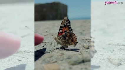 Sevginin gücü! İncitmeden de yaşanabilir