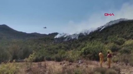 Son dakika haberi: DEMRE'DE ORMAN YANGINI