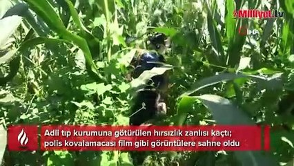 Download Video: Adli tıp kurumuna götürülen hırsızlık zanlısı kaçtı