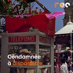 Que deviennent nos cabines téléphoniques ?