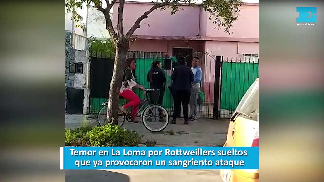Temor en La Loma por Rottweillers sueltos que ya provocaron un sangriento ataque