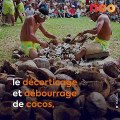 Le Tu'aro Ma'ohi, les spectaculaires jeux et sports traditionnels de Polynésie