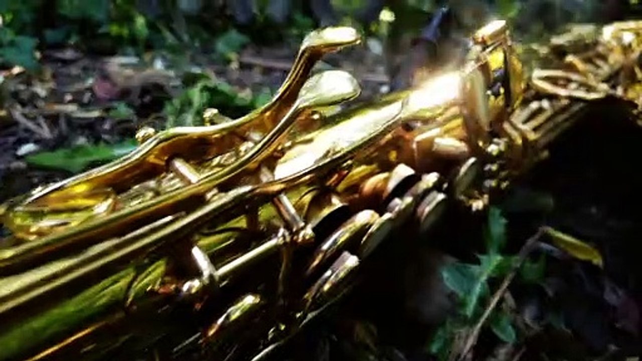 Sax-Solo on "Lily was here - Candy Dulfer" played by Doris Assenheimer