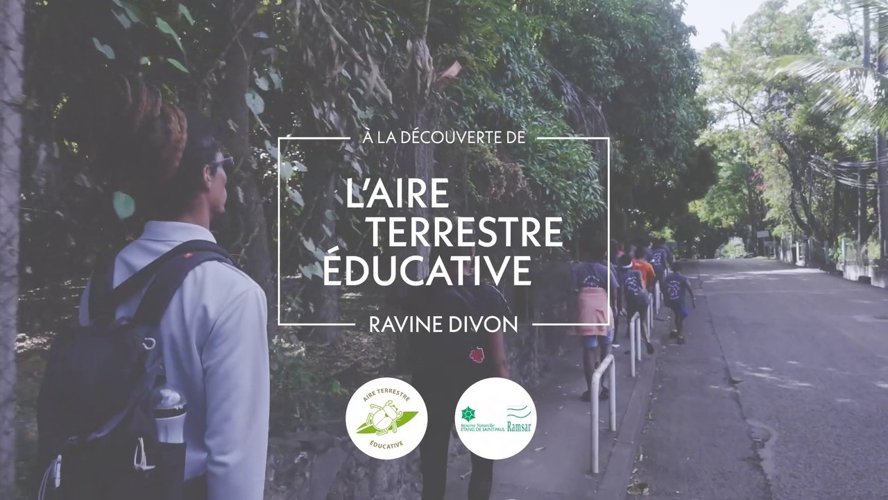 A la découverte de l'Aire terrestre éducative Ravine Divon