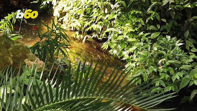 Unearthed Bones Suggest Big Leap In Historic Human Knowledge