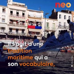 Les joutes de Sète, le sport traditionnel du patrimoine languedocien