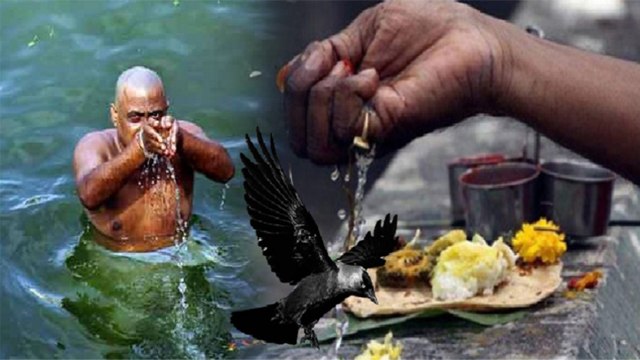 Pitru Paksha Date 2022: पितृ पक्ष 2022 कब से है । Pitru Paksha 2022 Kab Se Hai । Boldsky*Religious