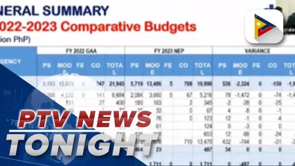 DTI to rely more on public-private partnership to strengthen MSMEs amid lower allocation from 2023 nat'l budget