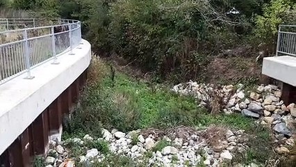 The river Lavant at Lidl, Chichester after substantial rainfall Thursday morning