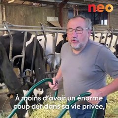 Placé en liquidation judiciaire, Jean-François se bat pour sauver ses vaches