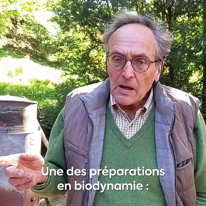 Nicolas cultive son vin en biodynamie