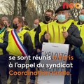 Face au malaise agricole, ces agriculteurs viennent de toute la France manifester à Paris