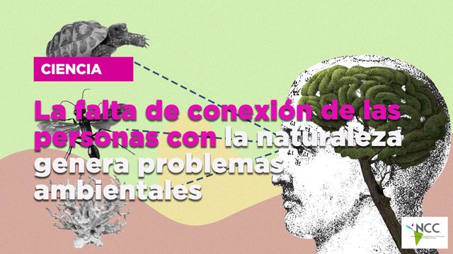 La falta de conexión de las personas con la naturaleza genera problemas ambientales