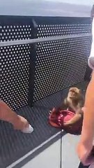 Des singes font la misère à des touristes à Gibraltar
