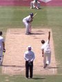 Bat breaks in cricket match || cricket short video || sports cricket