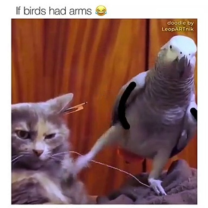 If Birds Had Arms