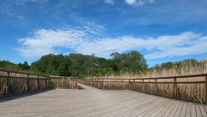 Wien am Rad: Zum Josefsteg in der Oberen Lobau (2)