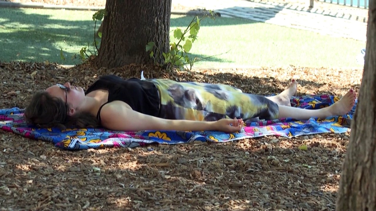 Copernicus: Heißester Sommer seit Beginn der Aufzeichnungen