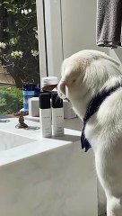 Jennifer Aniston promociona su línea de champús desnuda en la ducha