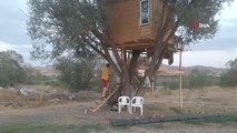 Afyon haberleri | Çobanlar ve yoldan geçenler için ağaca ev yaptı