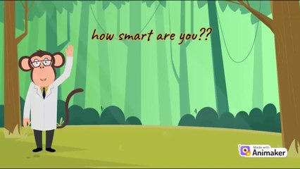 JUNGLE FUN STORY WITH VOICE UPDATE