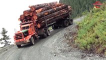 Extremely Dangerous Logging Truck Overload Climbing Sloping Hill  Crossing Difficult  Roads