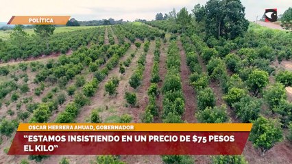 “Estamos insistiendo en un precio de $75 pesos el kilo”