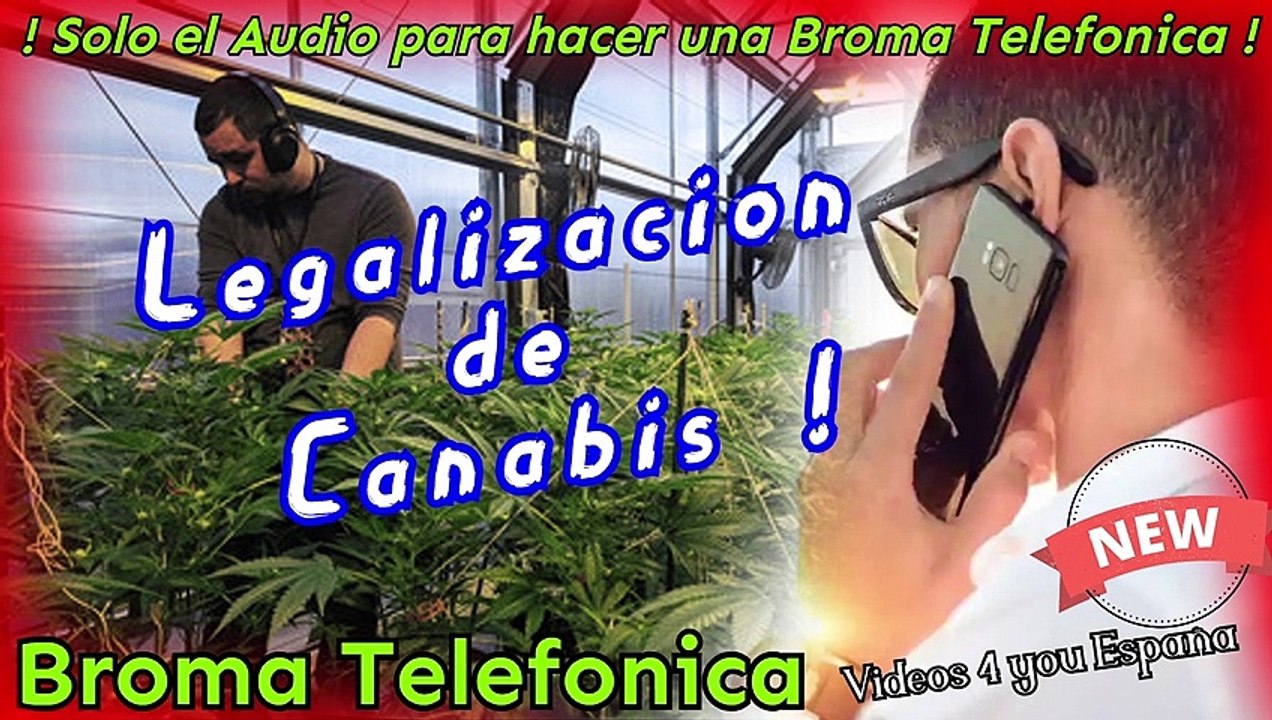 Audio para hacer Bromas Telefonicas - Legalizacion de Canabis