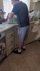 Dog Jumps for Joy Over New Toys