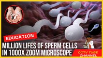 MILLION LIFES OF SPERM CELLS IN 1000X ZOOM MICROSCOPE