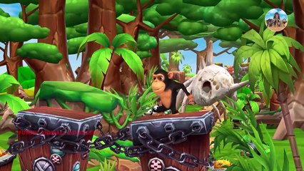 Funny monkey find Giant Egg   Baby Dinosaur vs Kong - Animation