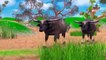 Giant Bulls Vs Crocodile   Giant Buffalos Rescue Wildebeest From Crocodile   Wildebeest Videos