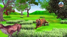 Cow Cartoon , Giant Bulls vs Giant Tiger    Giant Buffalo Rescue cartoon Cow from Tiger Videos