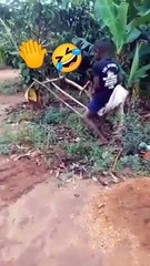 Primitive Technology! How boys to make a exavator Creative Wood art / bocah primitive membuat exavator mini seni Kayu Kreatif