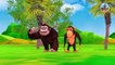 Mammoth Elephant ,Funny Groilla and Monkey Play with Cartoon Wild Animals To Ride On Giant Slider
