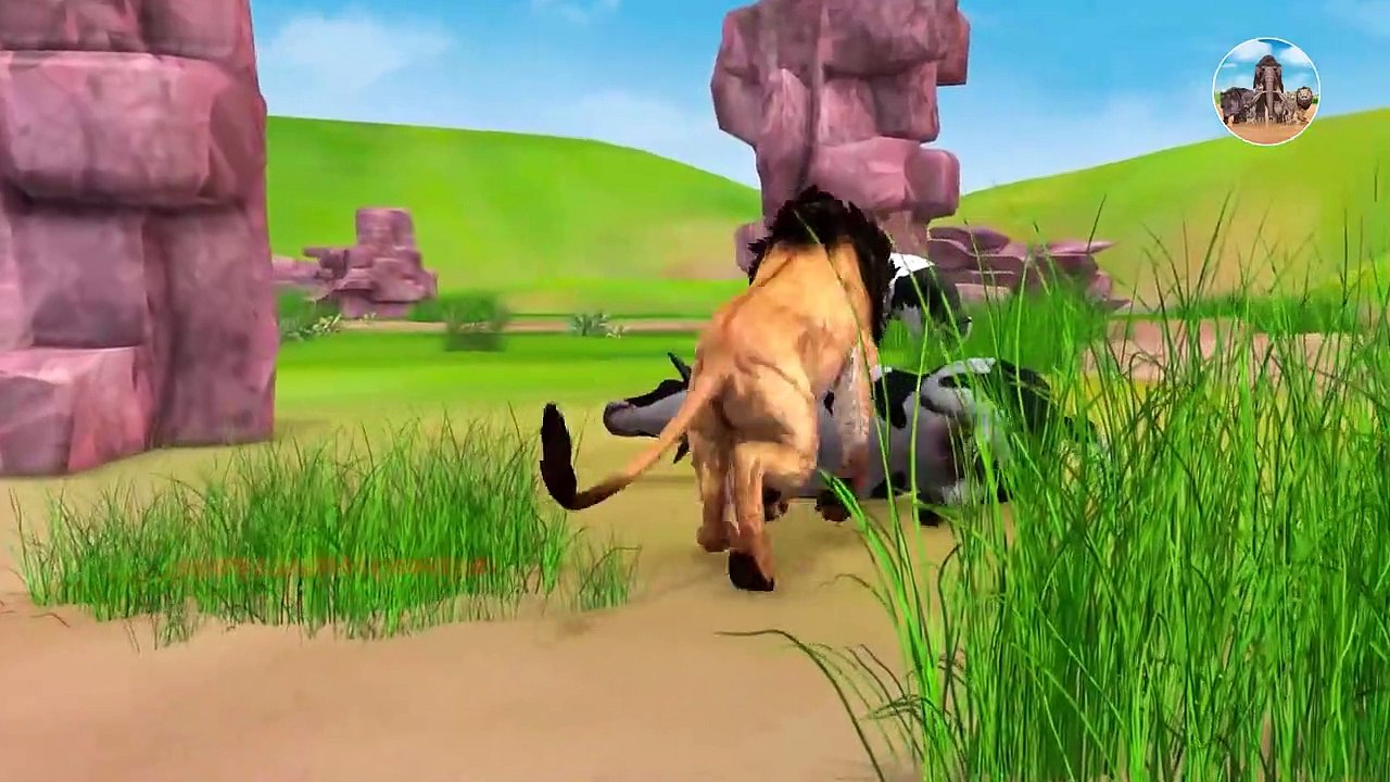 Cow Cartoon , Giant Bulls vs Giant Lions Animal Fight   Giant Bulls Rescue Cow Family from Lion Team