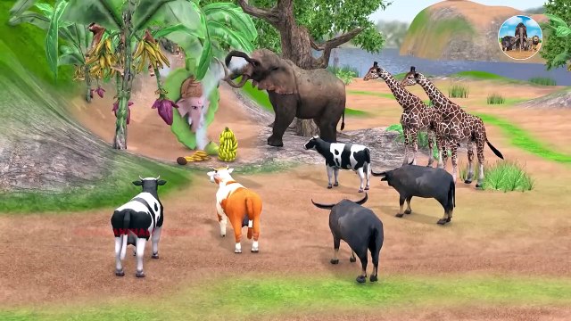 Cow Cartoon, Giant Bulls vs Zombie Dinosaur Animal Fight Cows Transformation into Giant Bulls