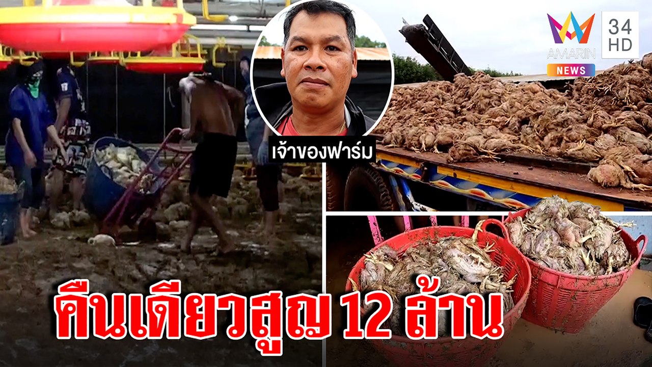 น้ำตาตกใน ไก่นับแสนตายพริบตา แค่ฝนถล่มระยอง เจ้าของเศร้าสูญ 12 ล้าน | ทุบโต๊ะข่าว | 08/09/65