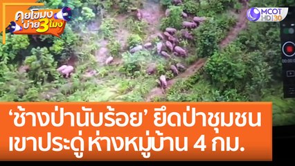 ‘ช้างป่านับร้อย’ ยึดป่าชุมชนเขาประดู่ ห่างหมู่บ้าน 4 กม. (8 ก.ย. 65) คุยโขมงบ่าย 3 โมง